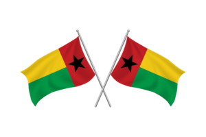 几内亚比绍挥舞友谊旗帜