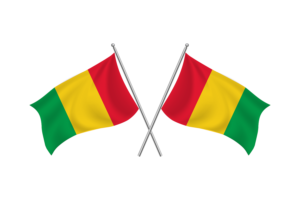几内亚挥舞友谊旗帜