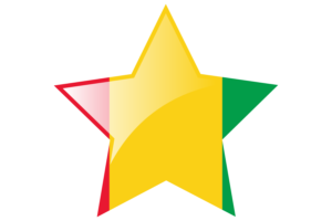 几内亚国旗星图标