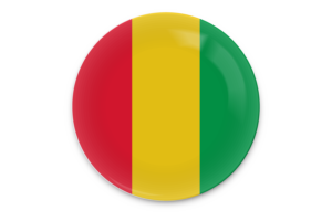 几内亚国旗矢量艺术