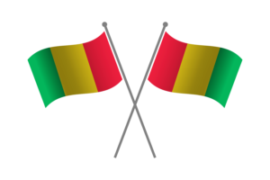 几内亚友谊旗帜