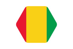 几内亚国旗矢量插图