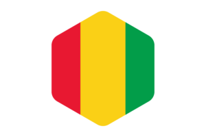 几内亚国旗圆形六边形