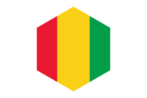 几内亚国旗六边形