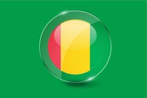 几内亚国旗光泽圆形按钮