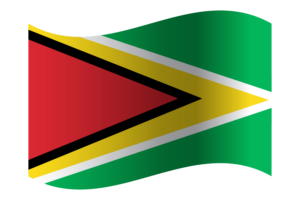圭亚那共和国 标志