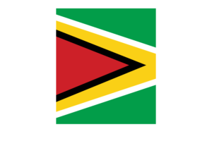 圭亚那国旗 （下载SVG， PNG）