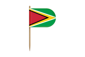 圭亚那国旗桌旗
