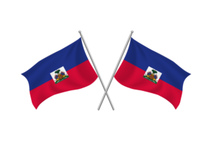 海地挥舞友谊旗帜
