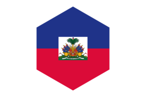 海地国旗六边形