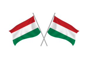 匈牙利挥舞友谊旗帜