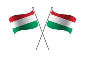 匈牙利友谊旗帜