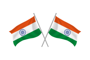 印度挥舞友谊旗帜