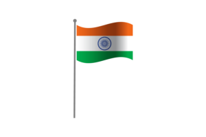 挥舞着印度国旗