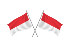 印度尼西亚挥舞友谊旗帜