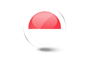 印度尼西亚国旗光泽圆形按钮