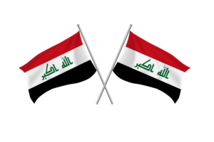 伊拉克挥舞友谊旗帜