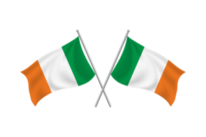 爱尔兰挥舞友谊旗帜