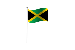挥舞着牙买加国旗