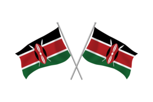肯尼亚挥舞友谊旗帜